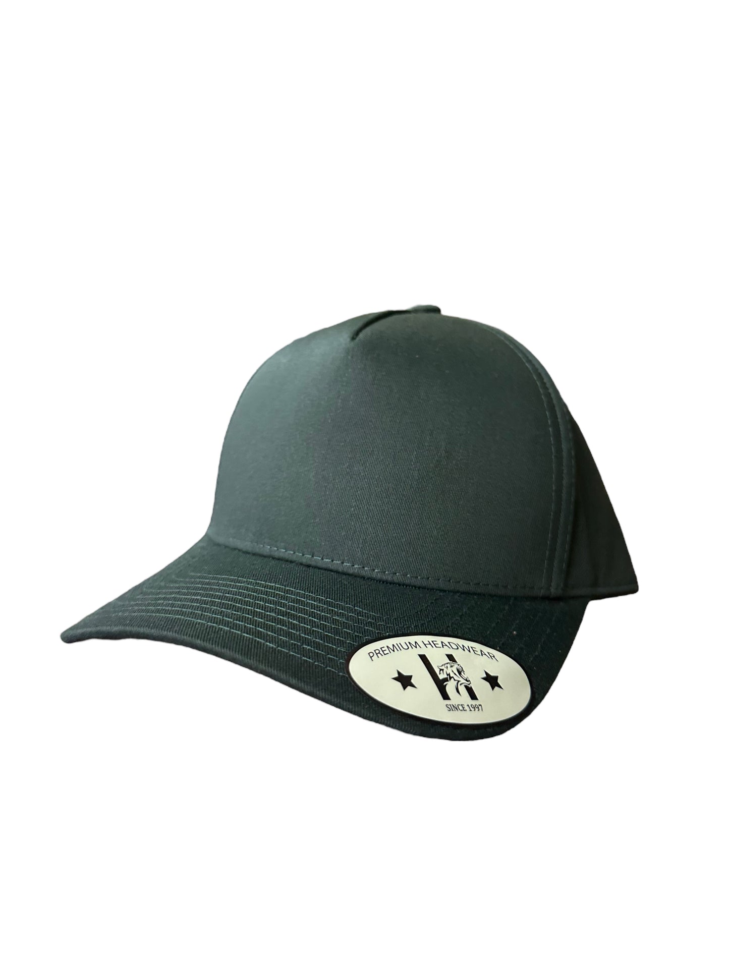 Spruce soild a frame curved SnapBack