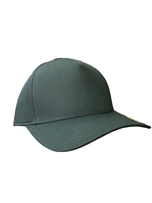 Spruce soild a frame curved SnapBack